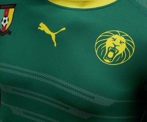 Cameroon 2016 2017 PUMA Home Soccer Jersey, Shirt, Football Kit, Maillot Cameroun