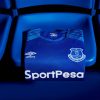 Maillot Entraînement Everton 2017/2018 – Umbro Rose, Homme Taille L, Vintage