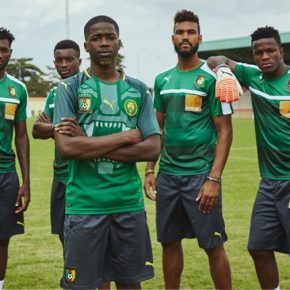 Cameroon 2018 PUMA Home Football Kit, Soccer Jersey, Shirt, Maillot Cameroun