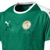 Senegal 2018 World Cup PUMA Green Away Football Kit, Soccer Jersey, Shirt, Maillot