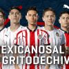 Chivas de Guadalajara 2018 2019 PUMA Home and Away Soccer Jersey, Shirt, Football Kit, Camiseta de Futbol, Equipacion