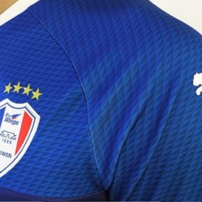Suwon Samsung Bluewings 2019 PUMA Football Kit, Soccer Jersey, Shirt