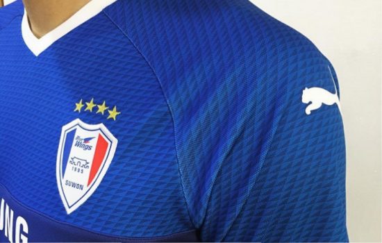 samsung-suwon-bluewing-2019-