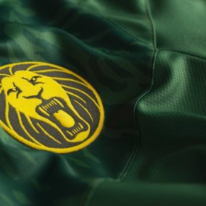 Cameroon 2019 AFCON FIFA Women's World Cup le coq sportif Football KIt, Soccer Jersey, Shirt, Maillot