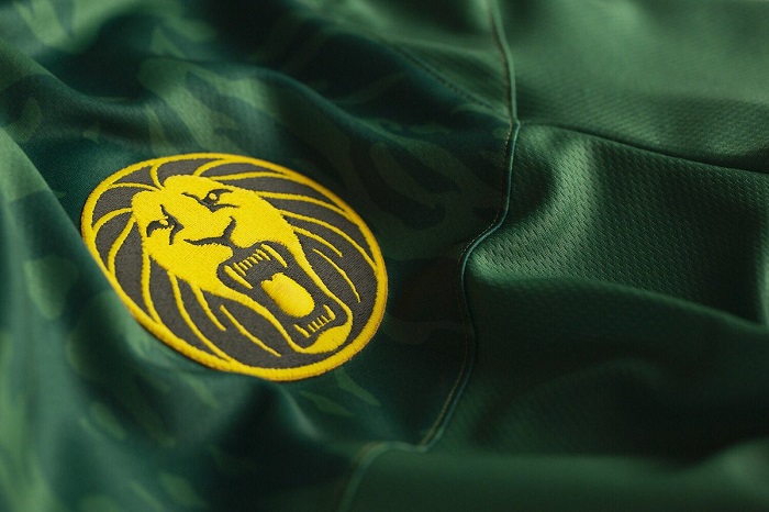 Cameroon 2019 AFCON FIFA Women's World Cup le coq sportif Football KIt, Soccer Jersey, Shirt, Maillot