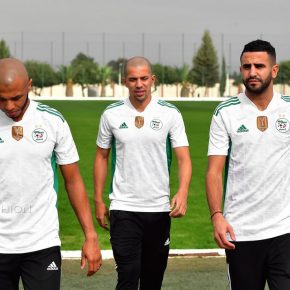 Algeria 2020 2021 adidas Home Soccer Jersey, 2020/21 Football Kit, 2020-21 Shirt, Maillot