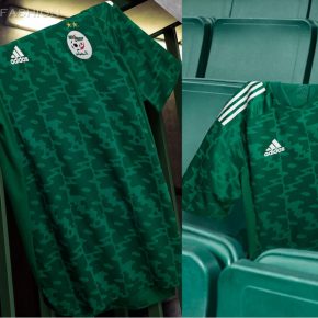 Algeria 2021 2022 adidas Home Soccer Jersey, 2021/22 Football Kit, 2021-22 Shirt, Maillot