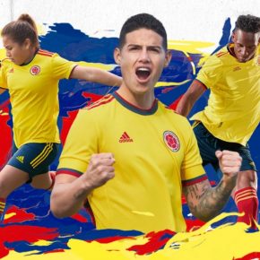 Colombia 2021 2022 Copa América adidas Yellow Home Soccer Jersey, Football Kit, Shirt, Camiseta de Futbol