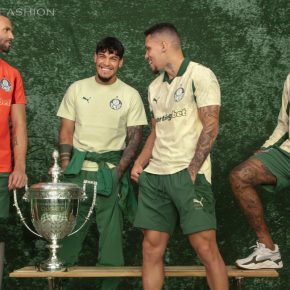 Palmeiras 2025 2025/26 Football Kit, 2026 Shirt, 25/26 Soccer Jersey, Camiseta de Futbol 2025-26, Camisa 25-26, Camisola, Trikot, Maglia, Maillot